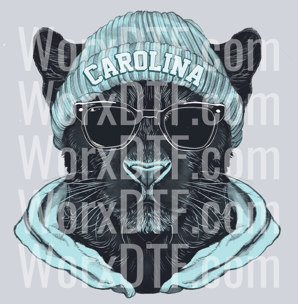 CAROLINADESIGBN