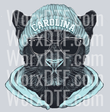 CAROLINADESIGBN