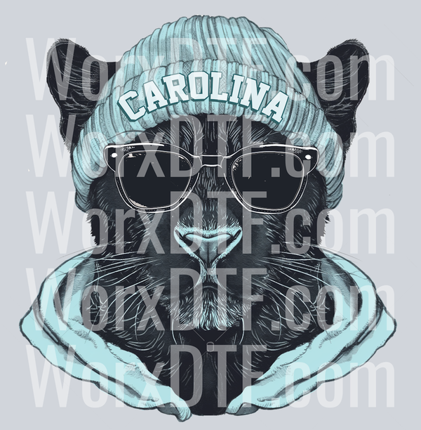 CAROLINADESIGBN